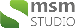 logo MSM Studio